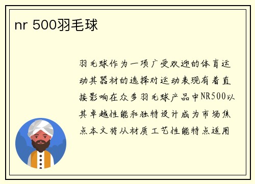 nr 500羽毛球