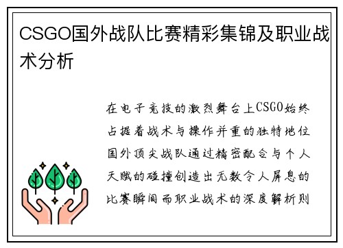 CSGO国外战队比赛精彩集锦及职业战术分析