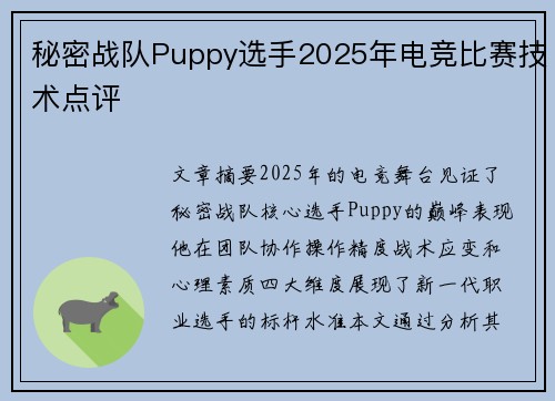 秘密战队Puppy选手2025年电竞比赛技术点评