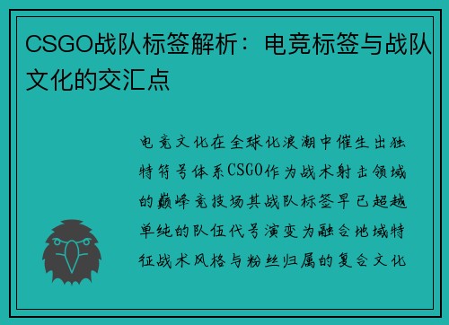CSGO战队标签解析：电竞标签与战队文化的交汇点