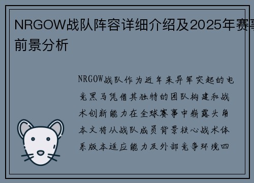 NRGOW战队阵容详细介绍及2025年赛事前景分析